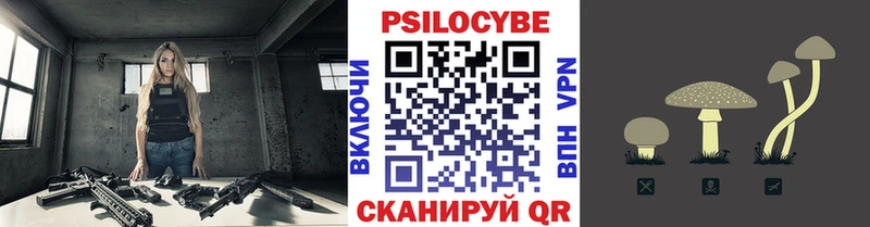 продажа наркотиков  Ядрин  kraken рабочий сайт  Галлюциногенные грибы прущие грибы 